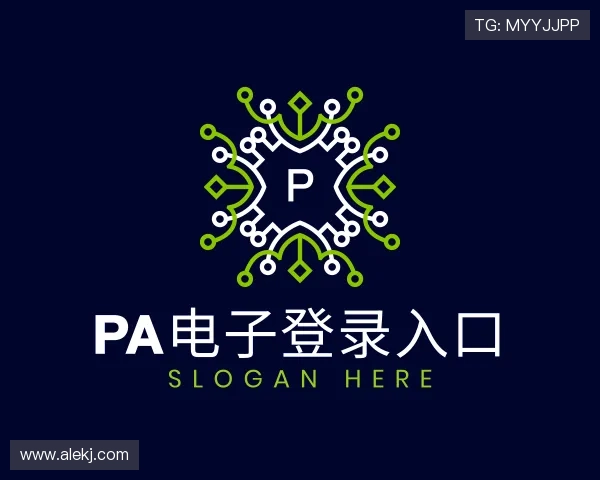 认识PA电子平台