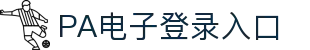 PA电子官网
